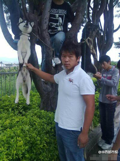 �W(w��ng)������Ű������Ƭ���ؑ�(y��ng)�Q�P(gu��n)��ƨ����