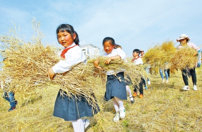 鄭州一小學有個農(nóng)趣園 師生們可在這播種勞作收獲
