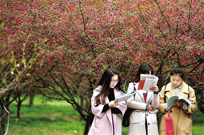 游客太多高校無(wú)奈限車限人 免費(fèi)看花你夠文明嗎?