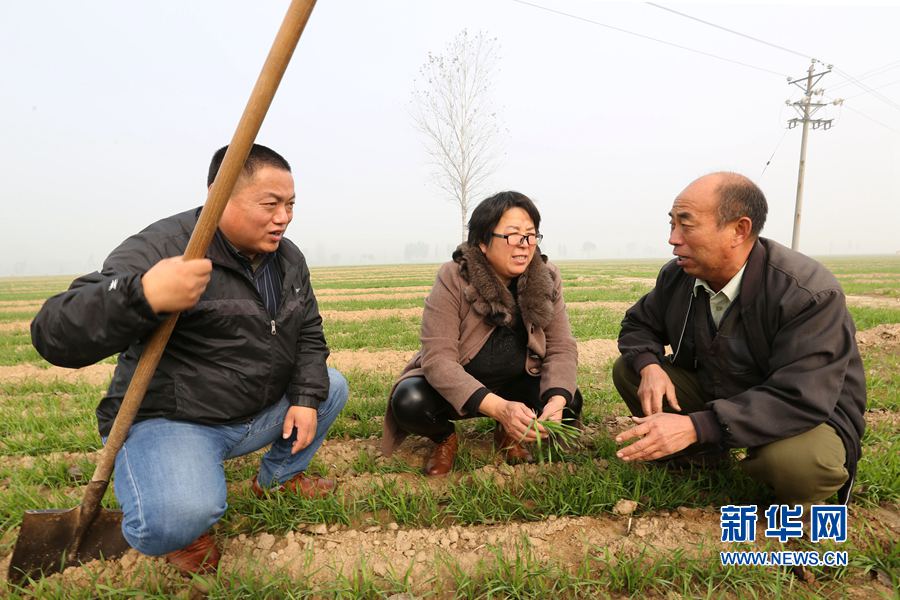 ���ϻ��h:С���������g�ڼ�