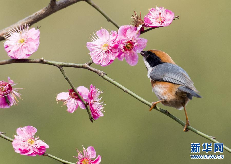 #�����(b��o)��ϲ�ϡ�÷����