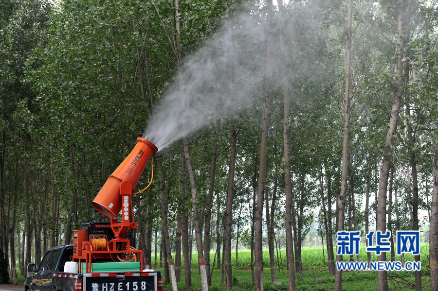 沁陽:人工圍剿楊樹食葉害蟲 沁陽:人工圍剿楊樹食葉害蟲