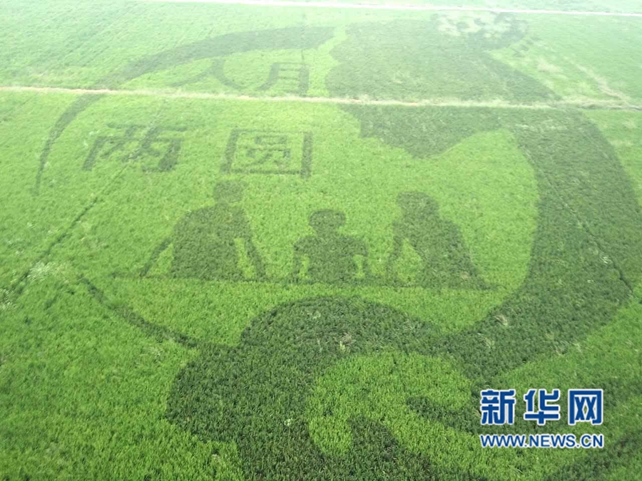 ������ġ�ˇ�g����