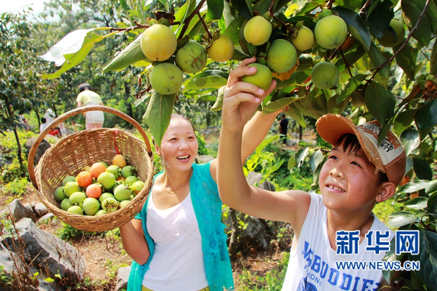 ���Ӵ��S��  �οͲ�ժ��