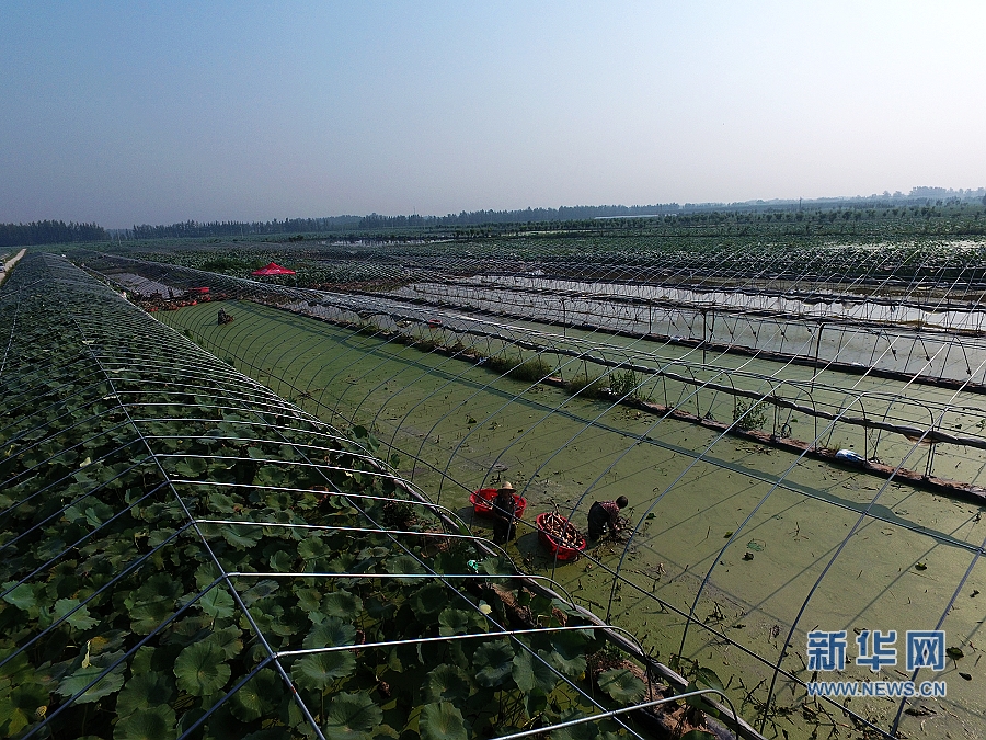 ���W(w��ng)�jý�w���D�ġ�����:ɏź���B�����¸�·