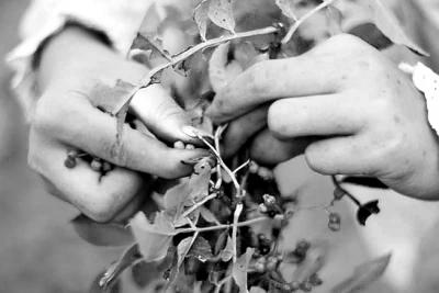 ������Ů�����Ą�־����߼t�W(w��ng)�j(lu��)