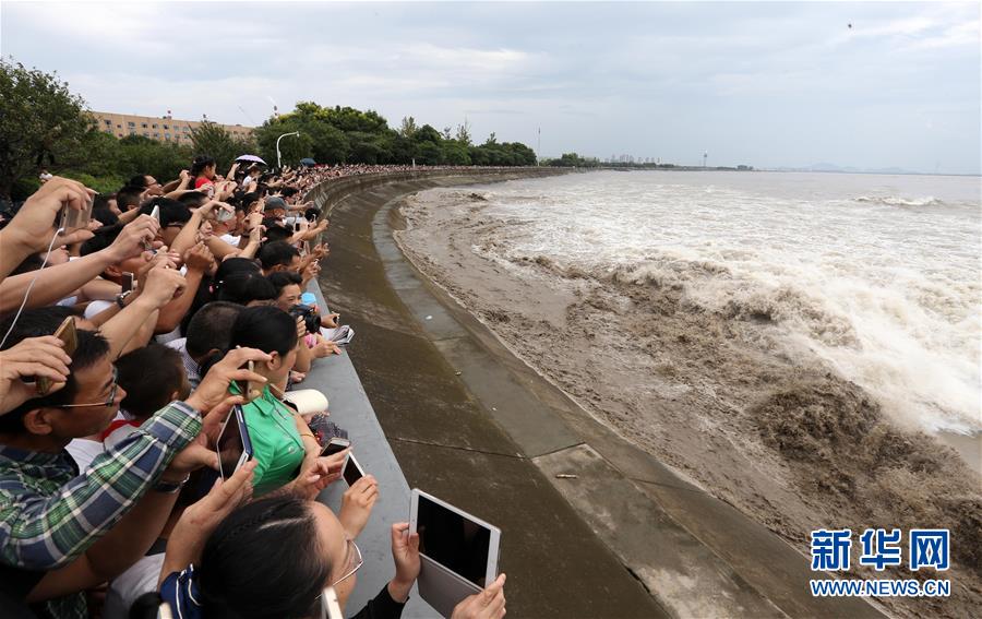 #�����������С�L�� �����X����