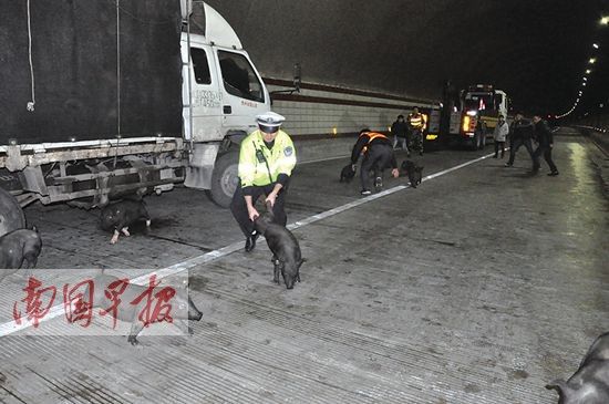 �V��һ�\(y��n)�i܇(ch��)��(c��)�� 20���^�i������(n��i)��̎�y�Z(�D)