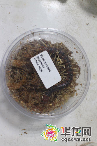 ���ث@�������