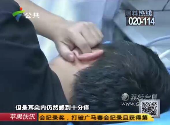 �@�������Ӷ���(n��i)�L(zh��ng)�M��ɫ���x��˺ҧ����ʹ��������