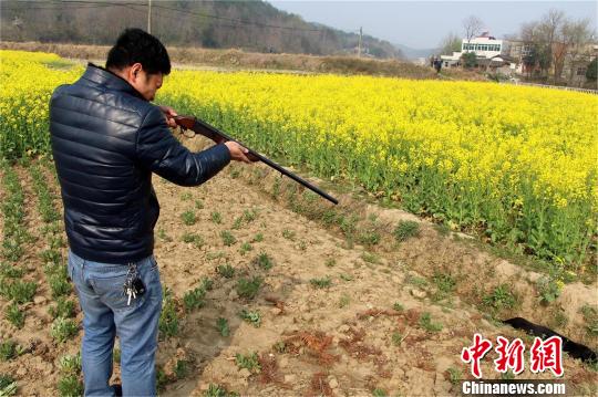 瘋狗發(fā)狂咬傷村民民警開槍將其擊斃(圖)