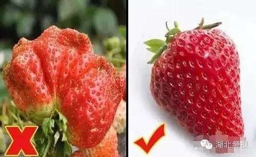 ��ݮ��ժ�@��؈ā������͵͵��ˎ �����u(m��i)�o�ο�(�D)5