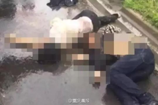 15�����磬���K���|�|���(zh��n)����(n��i)�l(f��)��һ��܇����һ��(du��)���p��H�����{܇��;��܇�vʧ�����_�M(j��n)·߅��������܇�v������ϰ��������˾��Ѳ���������