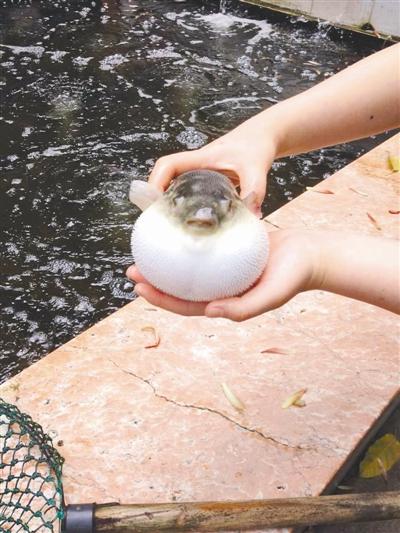 ����(n��i)��������?q��)����_ ���е���ʳ�ͳ��M(j��n)ICU