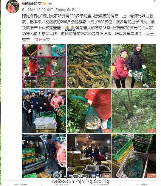 女子發(fā)微博稱放生900條蛇 南京官方回應(yīng)(圖) 女子發(fā)微博稱放生900條蛇 南京官方回應(yīng)(圖)