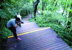 網(wǎng)友稱在紫金山木棧道上發(fā)現(xiàn)眼鏡蛇 圖片來自“南京阿槑”微博