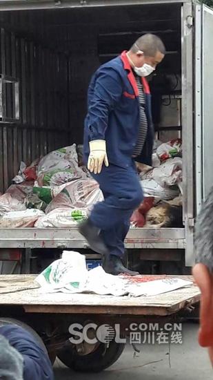 üɽ�Ж|�^(q��)�����(zh��n)�l(f��)����Ȯ������