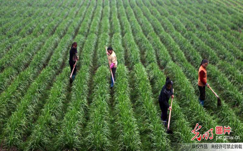 ���³��B(t��i) ����Փ�����O�a(ch��n)�I(y��)��Ⱥ�����r(n��ng)�I(y��)��(chu��ng)�¸ߵ�