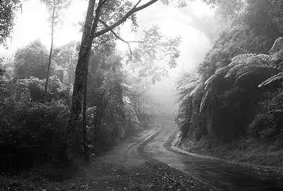 �������ޑ�(zh��n)�ٰ��Y��ħ �����R