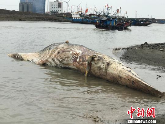 �Ϻ������L�~(y��)�����(bi��o)�������A(y��)Ӌ(j��)�ĕr(sh��)�����