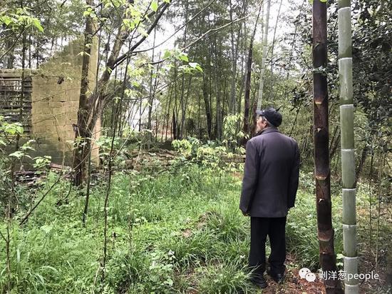 վ������ǰ�����ܵ�Ę�a���c(di��n)�l(f��)����