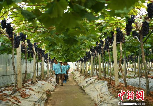 �ؑc���������l(xi��ng)���r(n��ng)�îa(ch��n)�I(y��)�r���Բ�ģʽ���������w�(y��n)�r(n��ng)�I(y��)