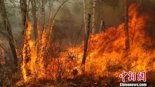 內(nèi)蒙古大興安嶺高地林場火災(zāi)已投入4000人撲救