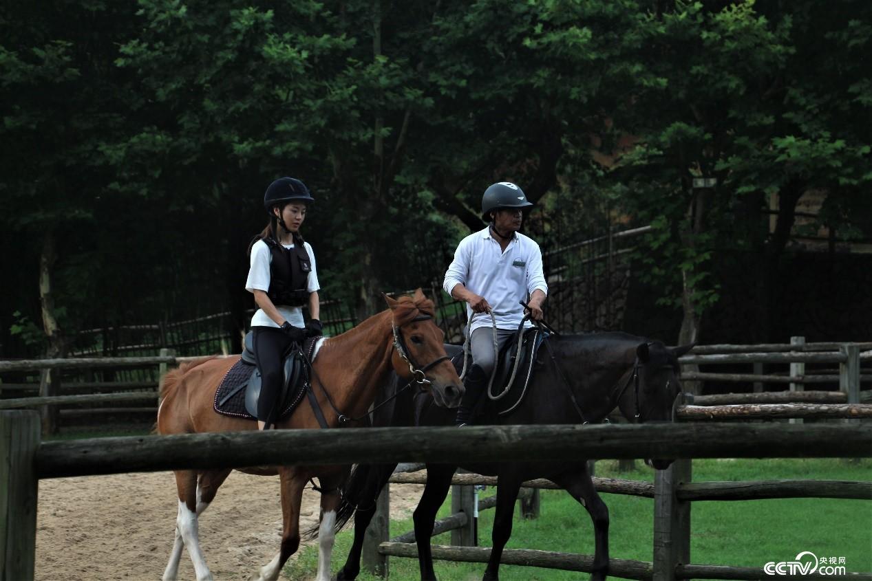 Ī��ɽ�(zh��n)�߶˾�Ʒ���޵ĺ��ą^(q��)������ҕ�W(w��ng) ӛ�ߺδ��z��