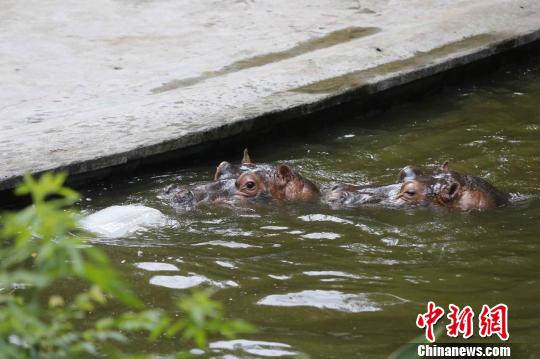 �����{(di��o)���������������K��(d��ng)���ʽ�������