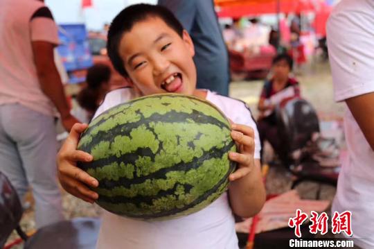 ζ������������������ҫ�� �z