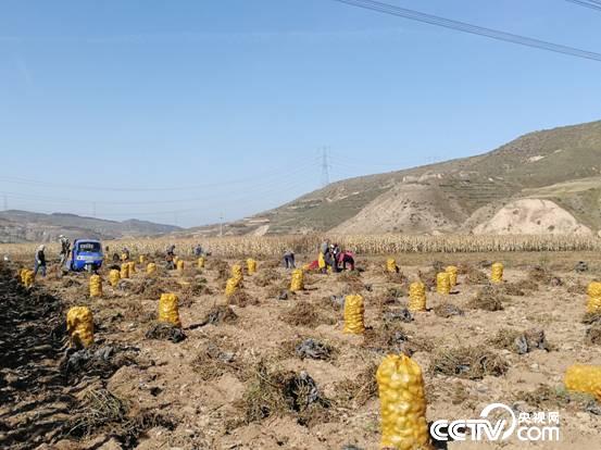 【我們的改革開(kāi)放】祖孫三代和“土豆”的故事