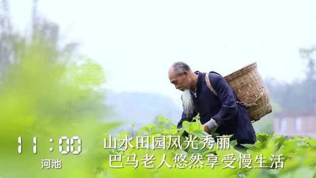 һ��24С�r(sh��)���V���ڰl(f��)��ʲô