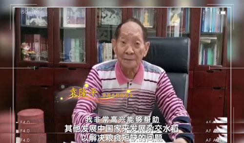 這位“90后”讓世界1/5的人吃上飽飯