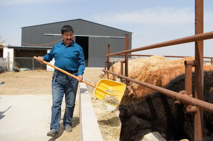 新華全媒+|沿著高速看中國(guó)|穿沙公路作紐帶 昔日大漠通四海
