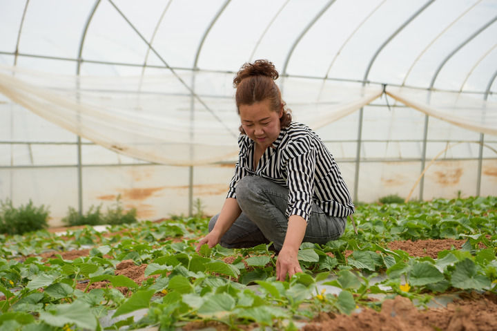 新華全媒+|沿著高速看中國(guó)|穿沙公路作紐帶 昔日大漠通四海