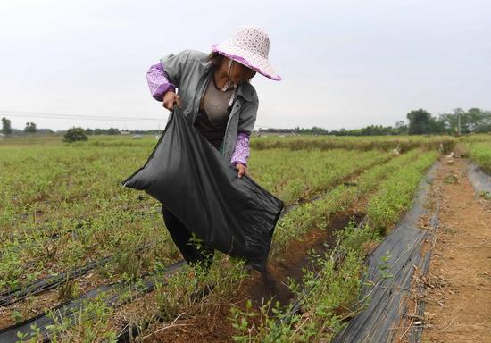 �V���M�hУ���(zh��n)ʯ��������������������ʩ�ʣ�4��12�Քz)���@Щ���������ÿɶѷ��������a(ch��n)�������A��ӛ�� ���A �z